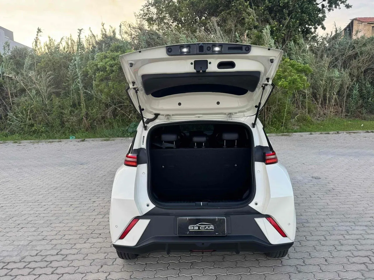 BYD Dolphin Mini - Imagem 11