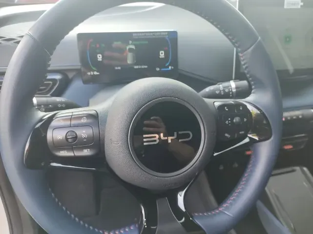 BYD Dolphin Mini - Imagem 11