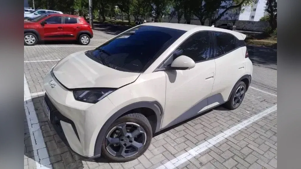 Foto de um byd dolphin mini