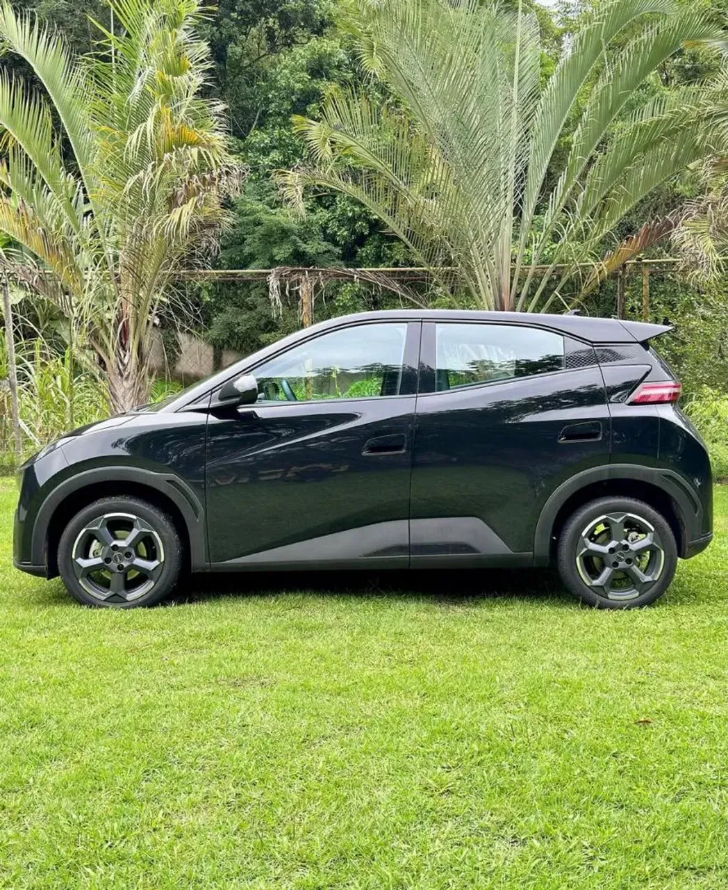 BYD Dolphin Mini - Imagem 3