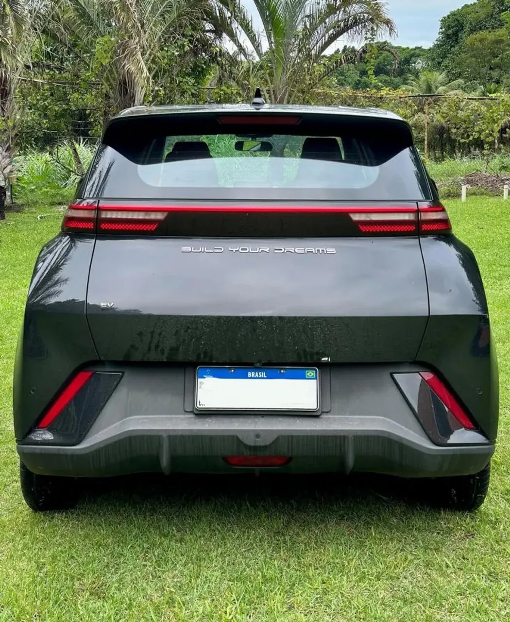 BYD Dolphin Mini - Imagem 16