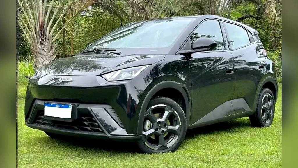 Foto de um byd dolphin mini