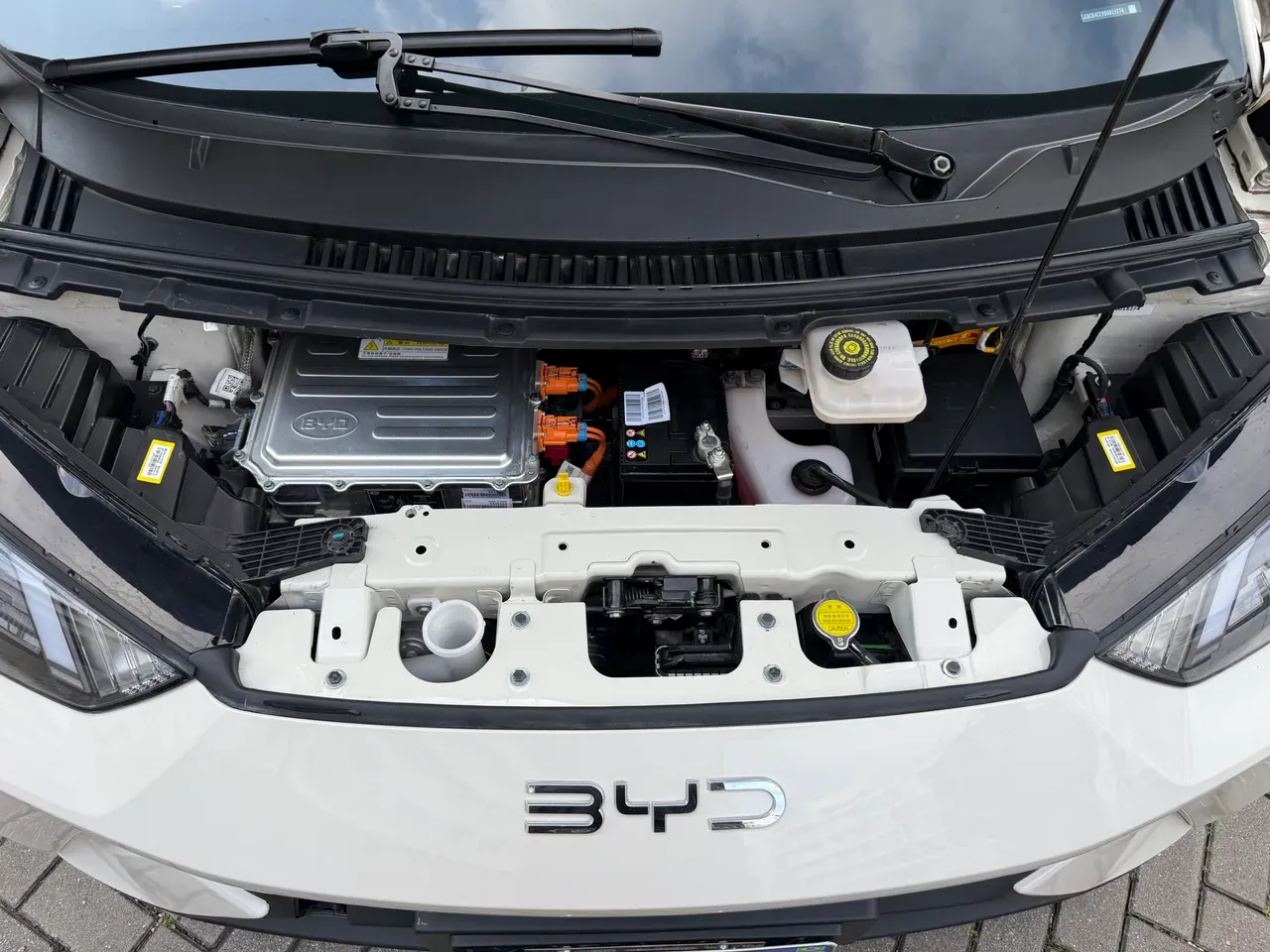 BYD Dolphin Mini - Imagem 13