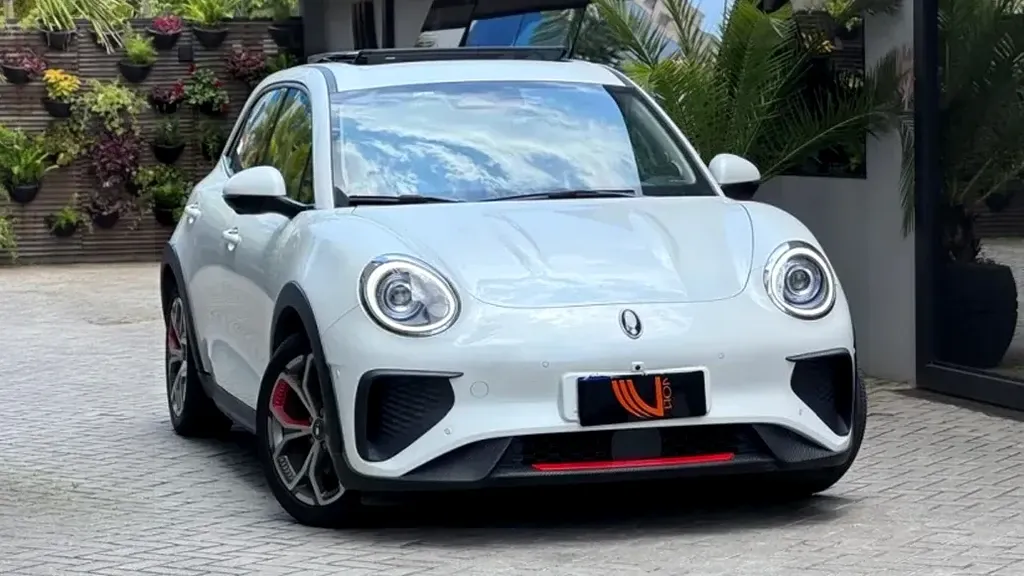 Foto de um gwm ora 03