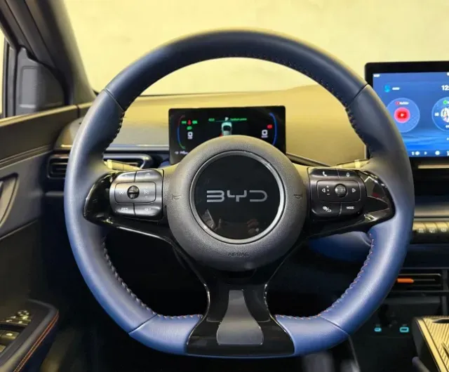 BYD Dolphin Mini - Imagem 11