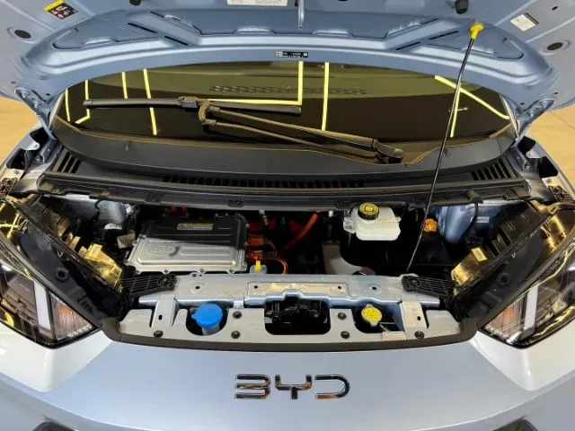 BYD Dolphin Mini - Imagem 18