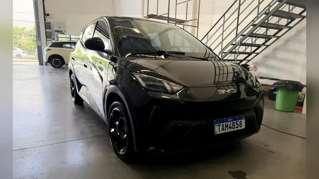 Foto de um byd dolphin mini