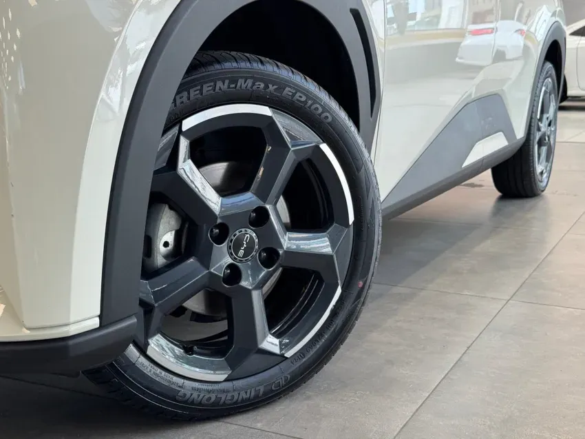 BYD Dolphin Mini - Imagem 2