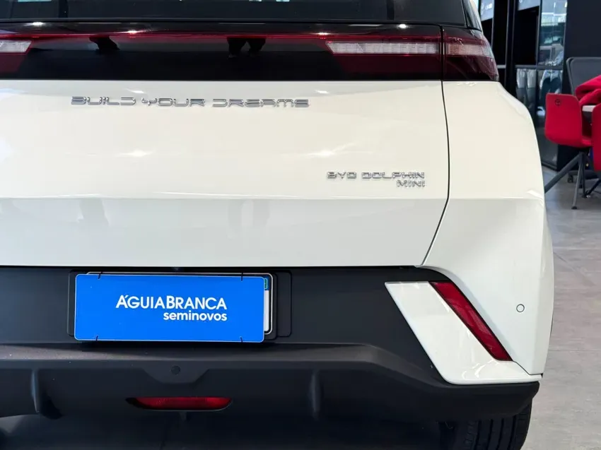 BYD Dolphin Mini - Imagem 10