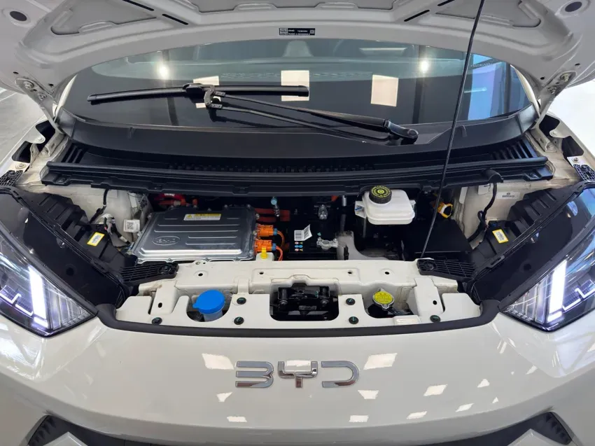 BYD Dolphin Mini - Imagem 6