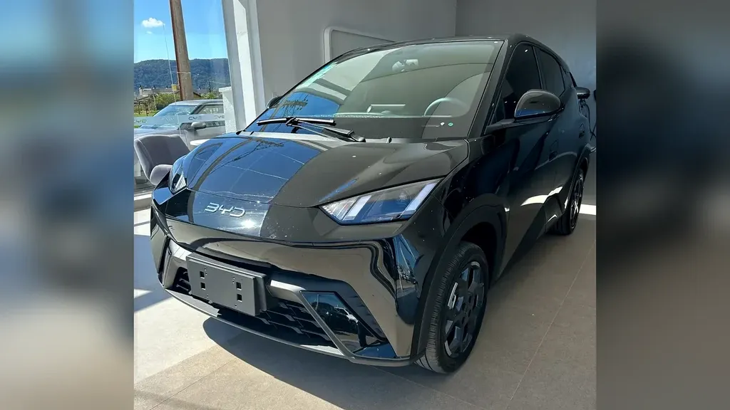 Foto de um byd dolphin mini