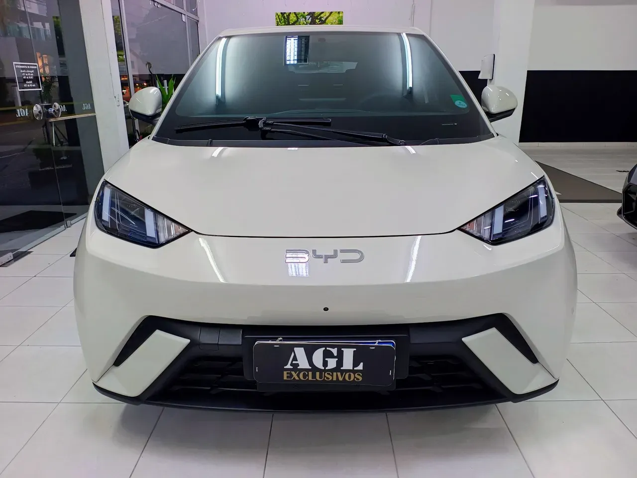 BYD Dolphin Mini - Imagem 3