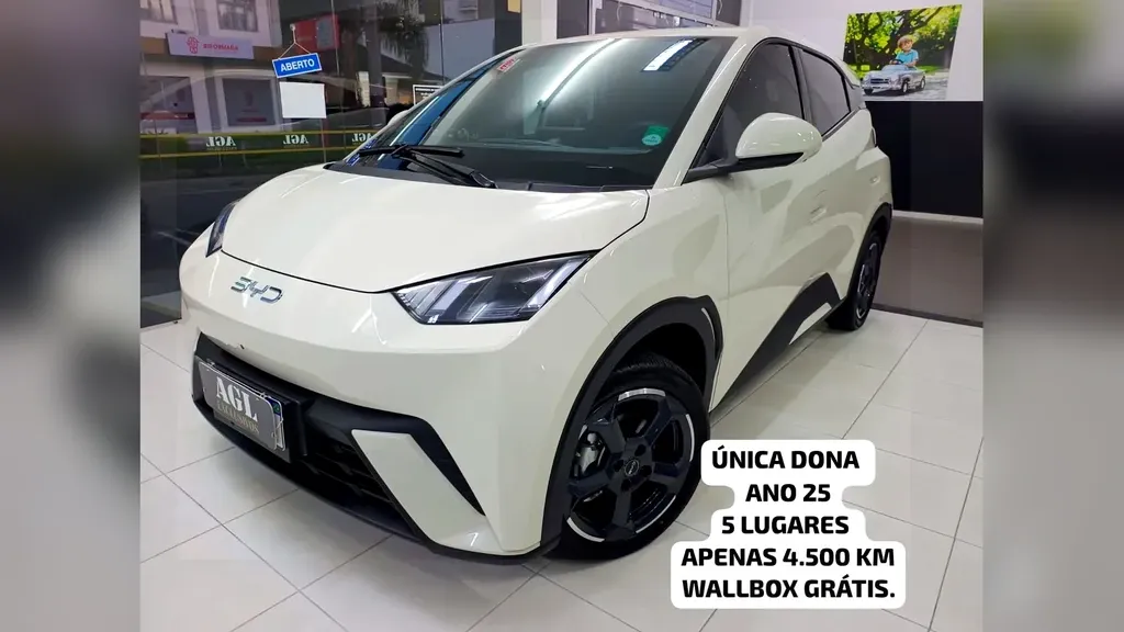 Foto de um byd dolphin mini