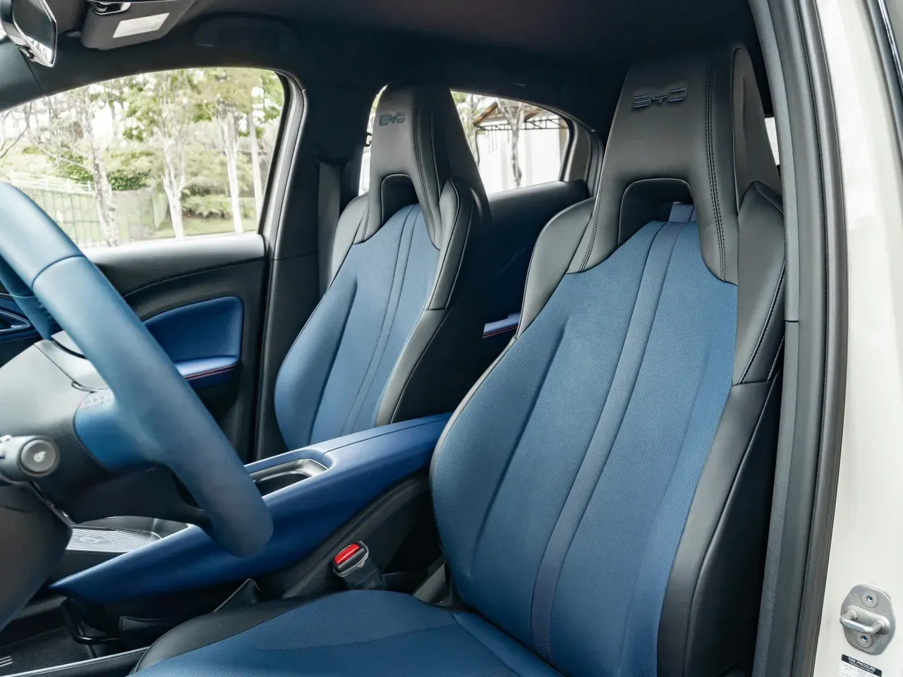 BYD Dolphin Mini - Imagem 14