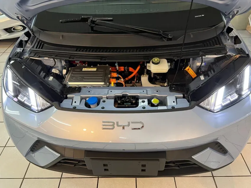 BYD Dolphin Mini - Imagem 12