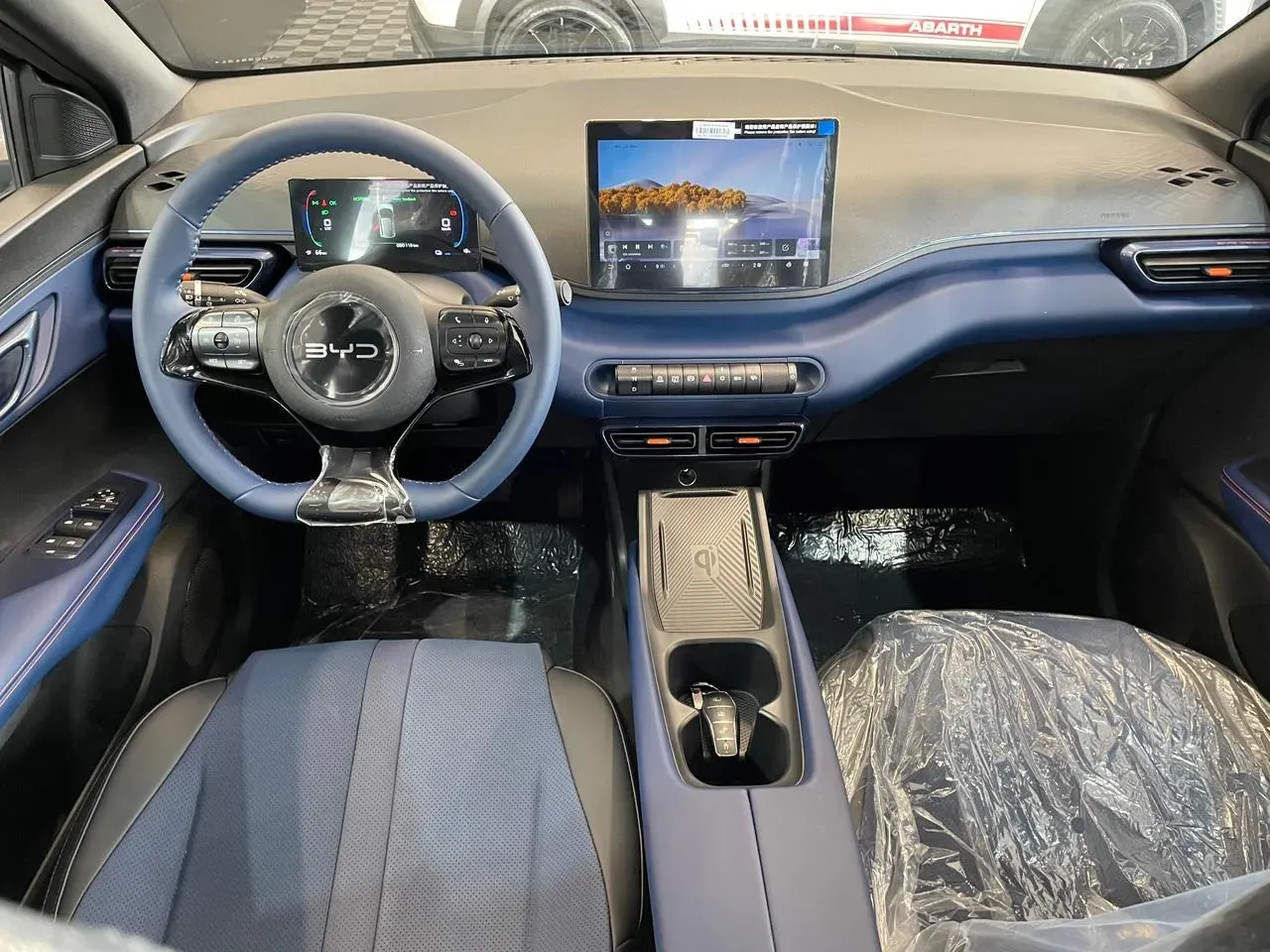 BYD Dolphin Mini - Imagem 11