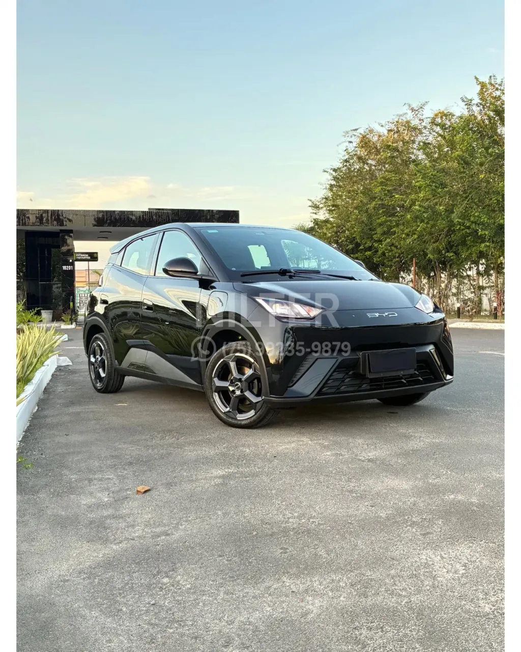 BYD Dolphin Mini - Imagem 3