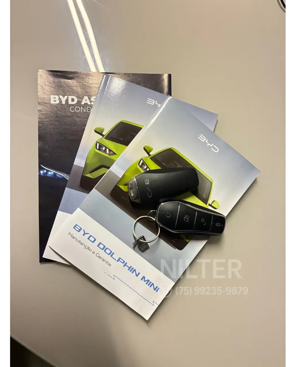 BYD Dolphin Mini - Imagem 14