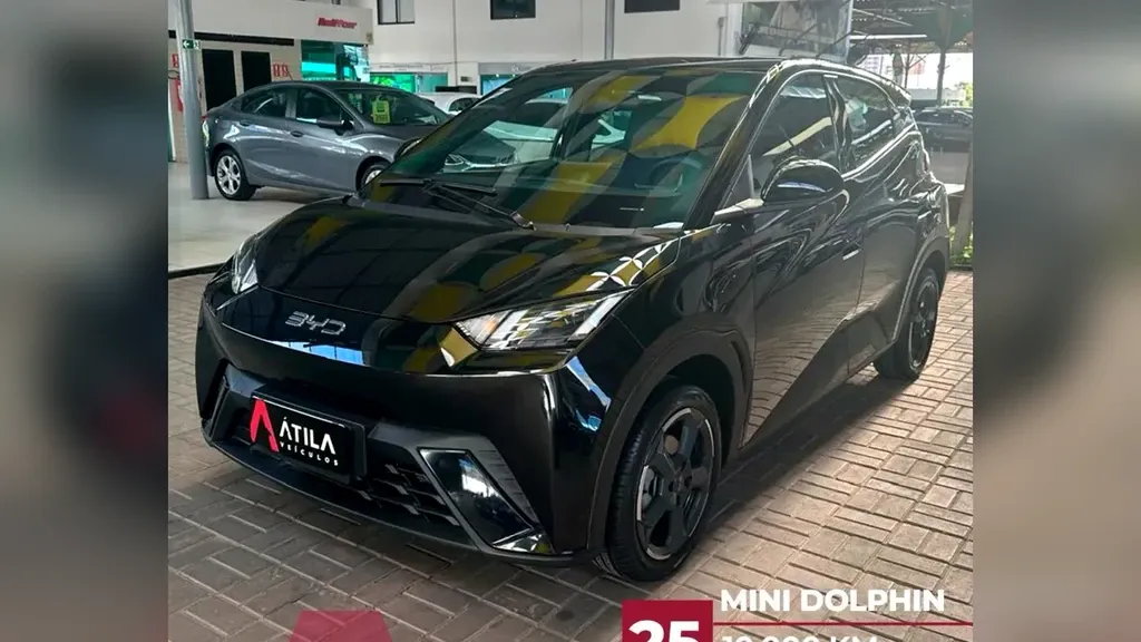 Foto de um byd dolphin mini