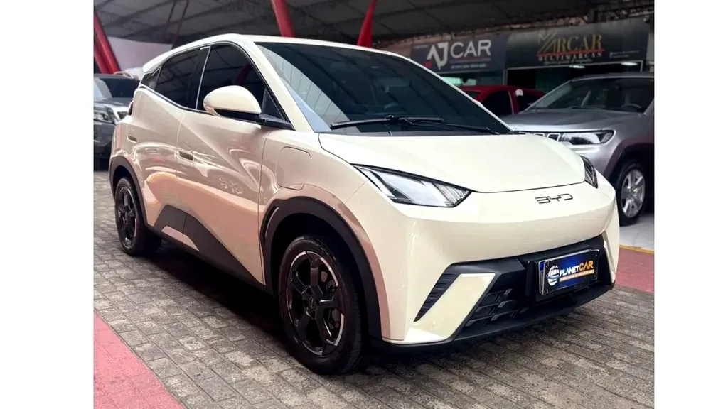 Foto de um byd dolphin