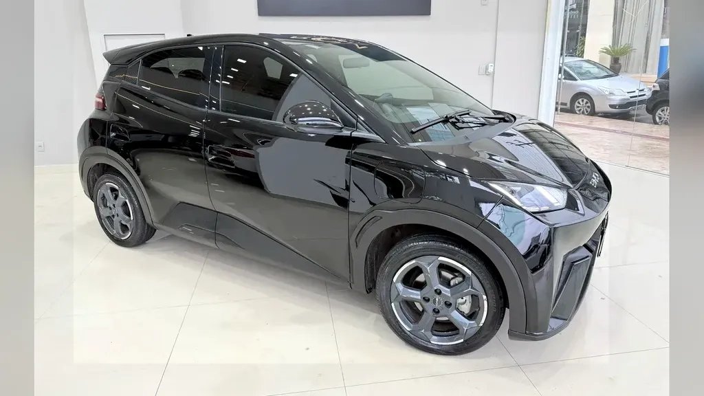 Foto de um byd dolphin mini