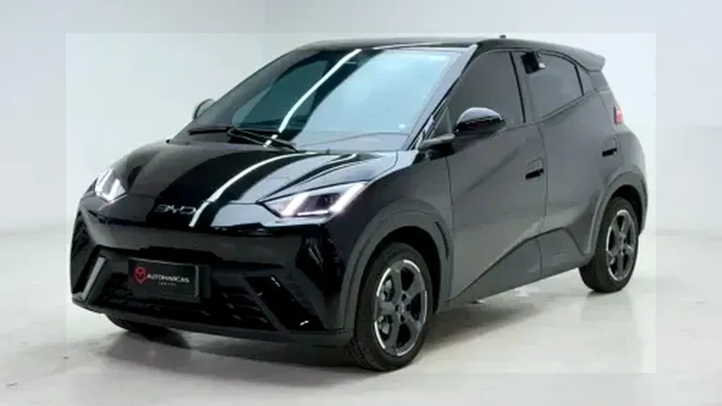 Foto de um byd dolphin mini