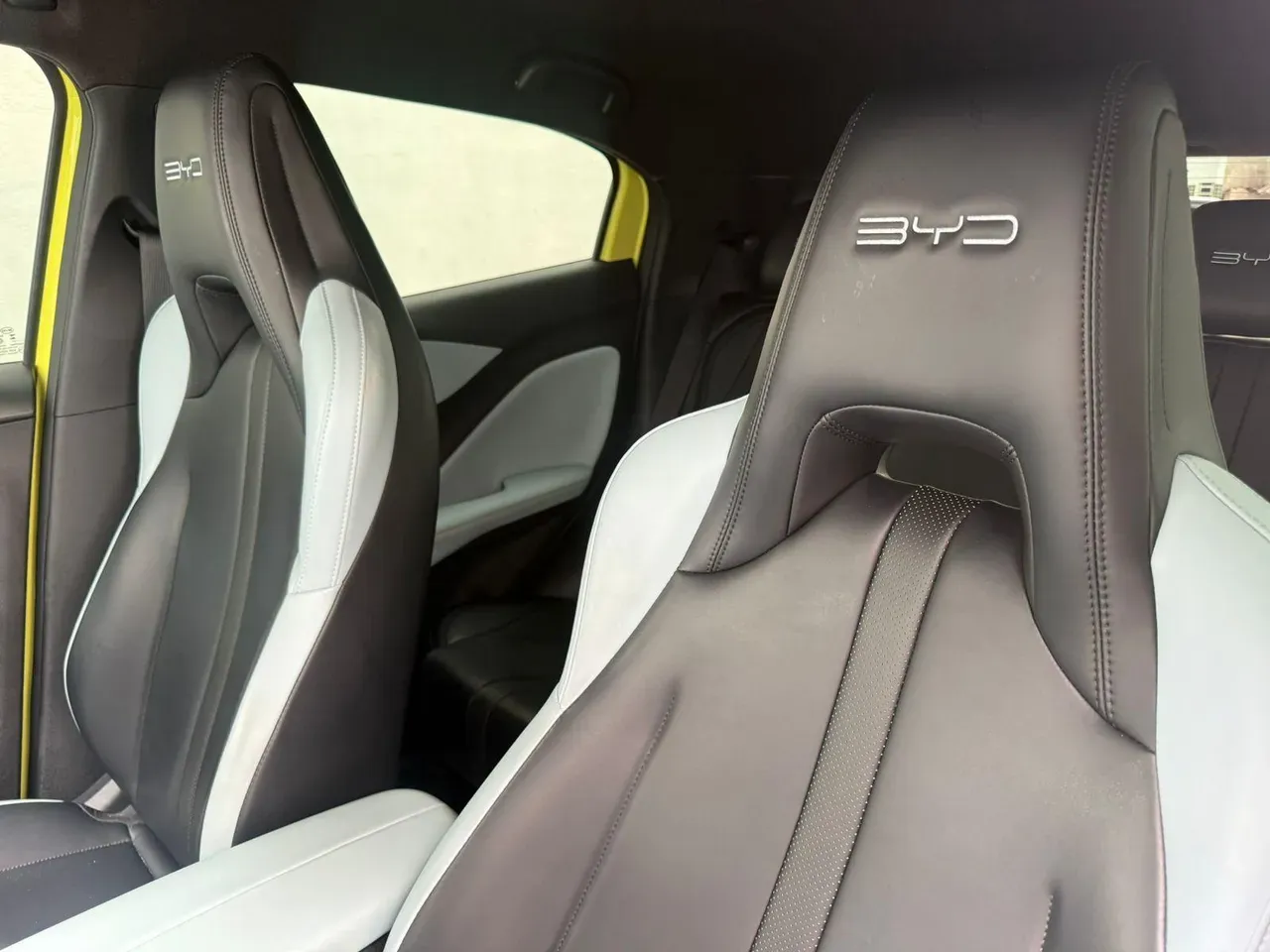 BYD Dolphin Mini - Imagem 18