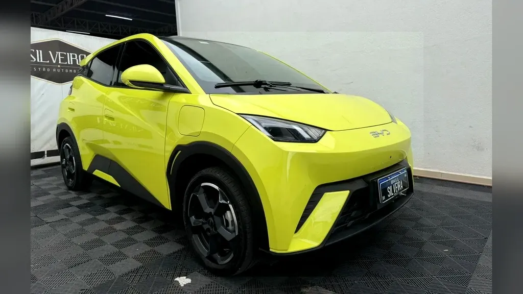 Foto de um byd dolphin mini