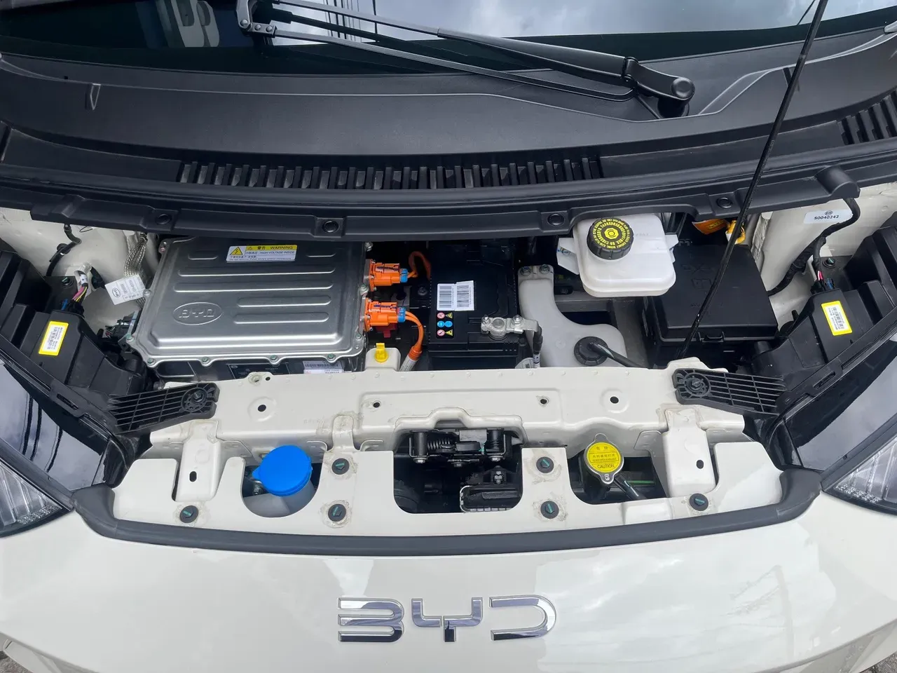 BYD Dolphin Mini - Imagem 20