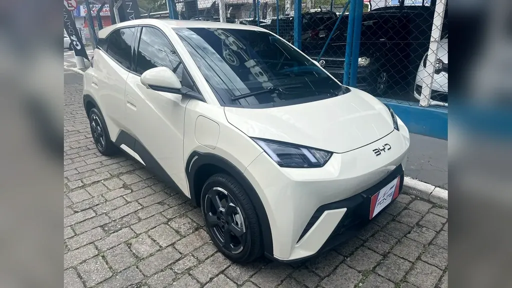 Foto de um byd dolphin mini