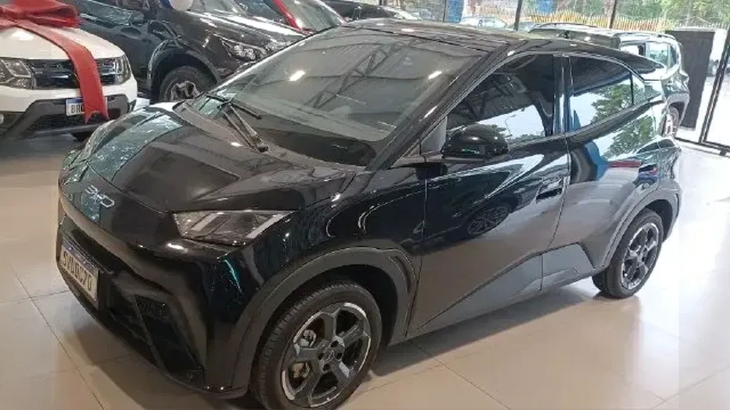 Foto de um byd dolphin mini