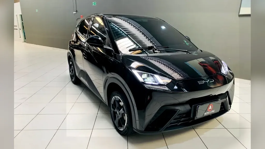 Foto de um byd dolphin mini