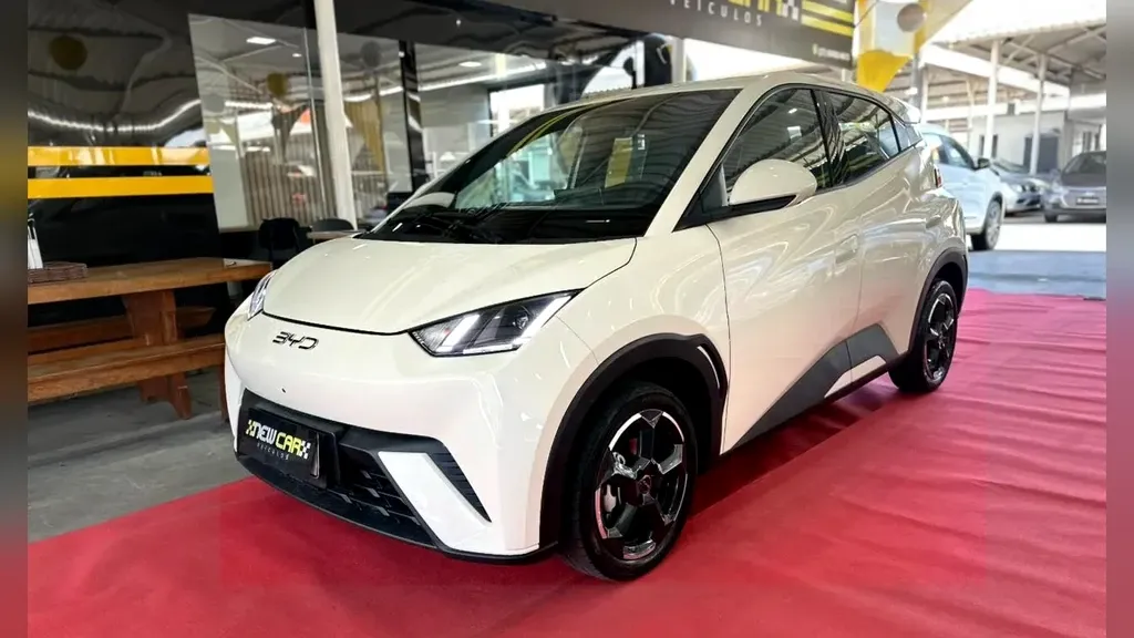 Foto de um byd dolphin