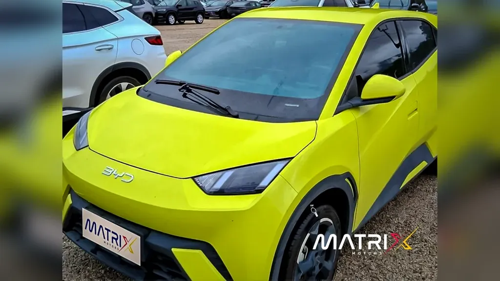 Foto de um byd dolphin mini