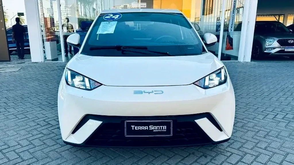 Foto de um byd dolphin mini