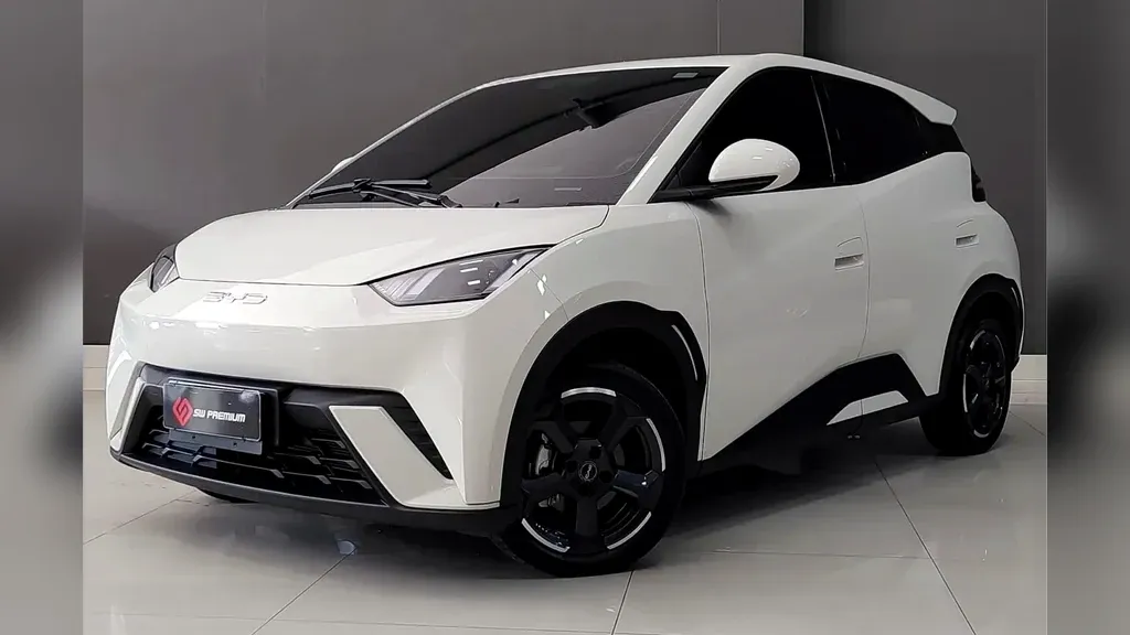 Foto de um byd dolphin mini