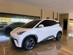 BYD Dolphin Mini - Miniatura 1