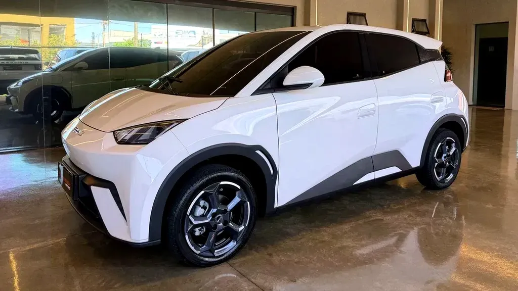 Foto de um byd dolphin mini