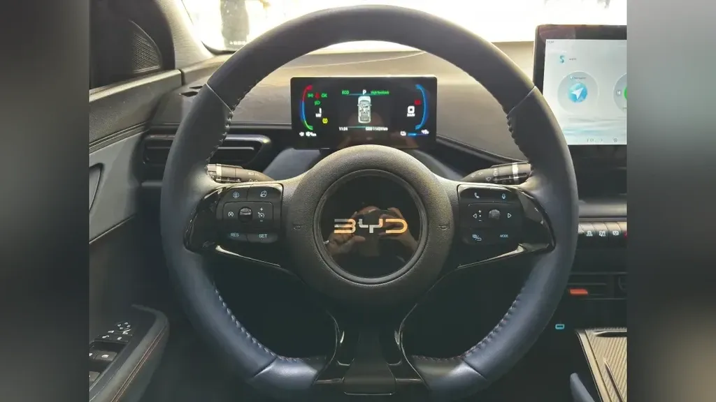 BYD Dolphin Mini - Imagem 11