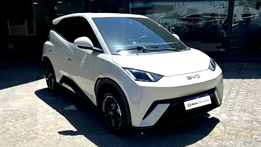 Foto de um byd dolphin mini