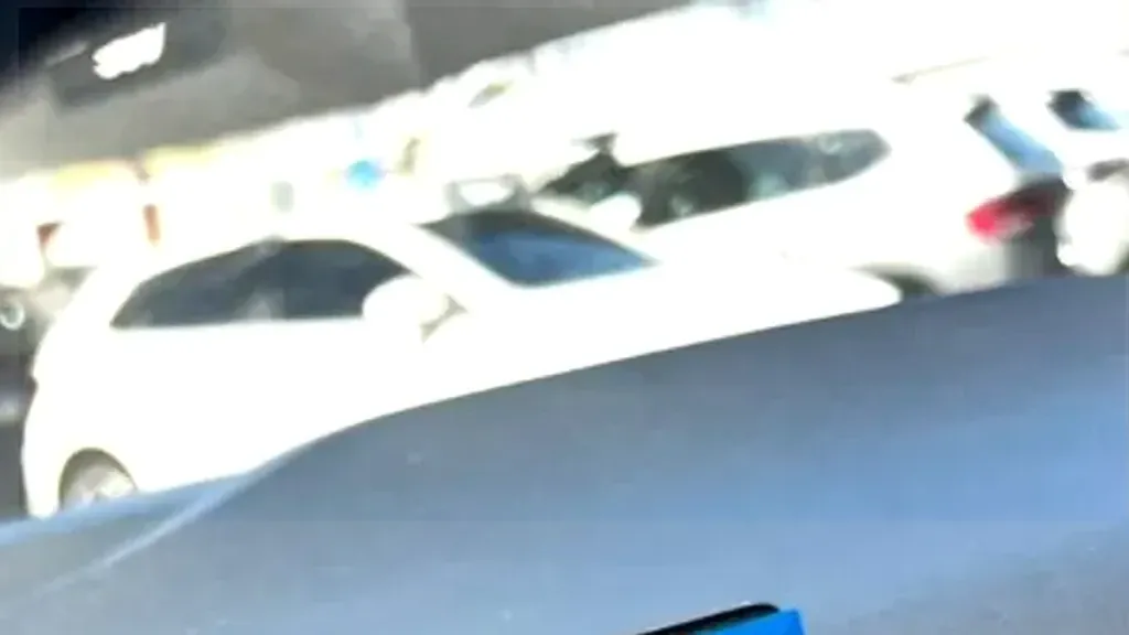 BYD Dolphin Mini - Imagem 20