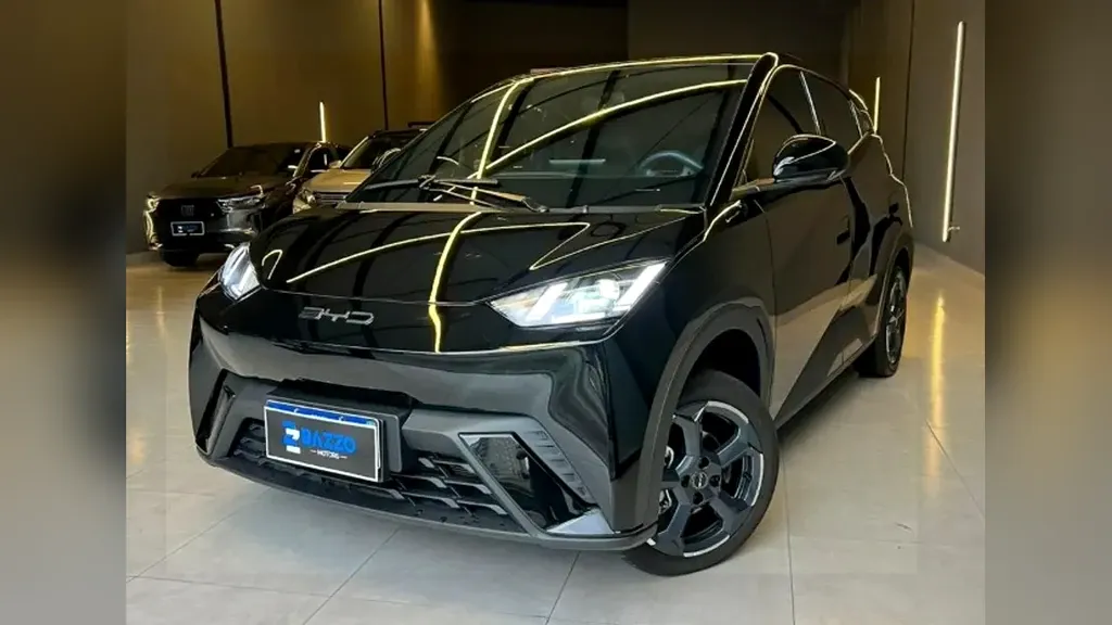 Foto de um byd dolphin mini