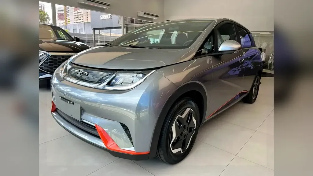 Foto de um byd dolphin