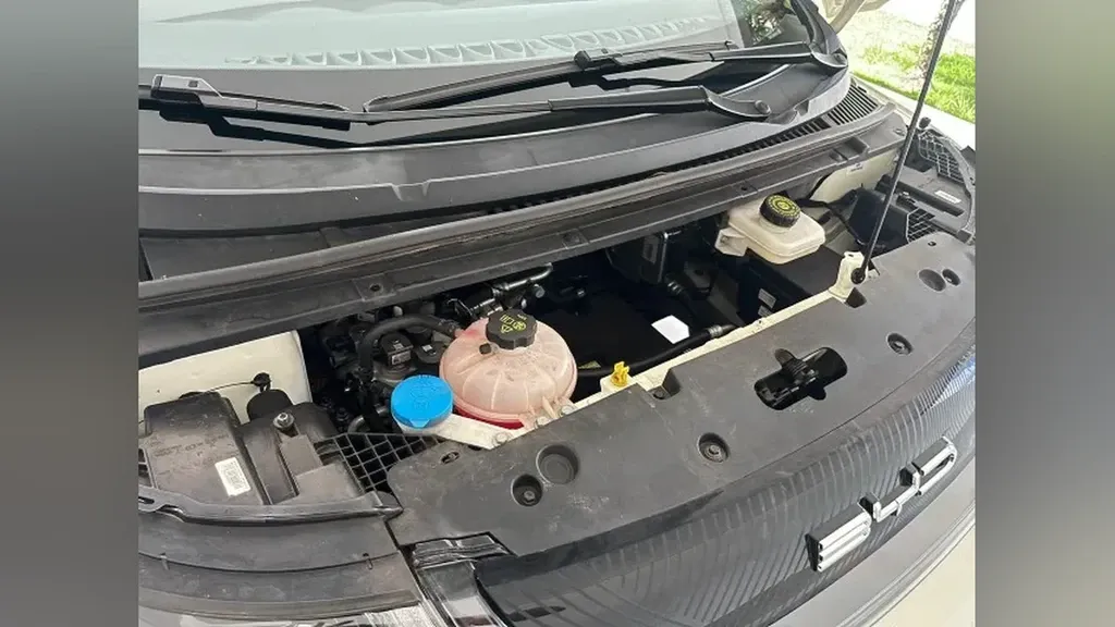 BYD Dolphin - Imagem 12