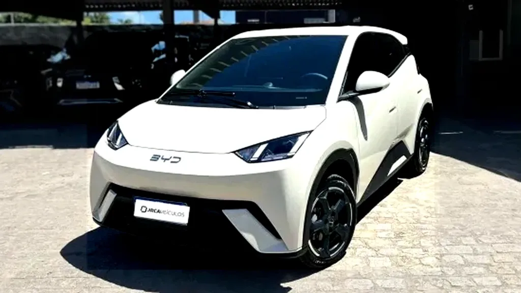 Foto de um byd dolphin mini