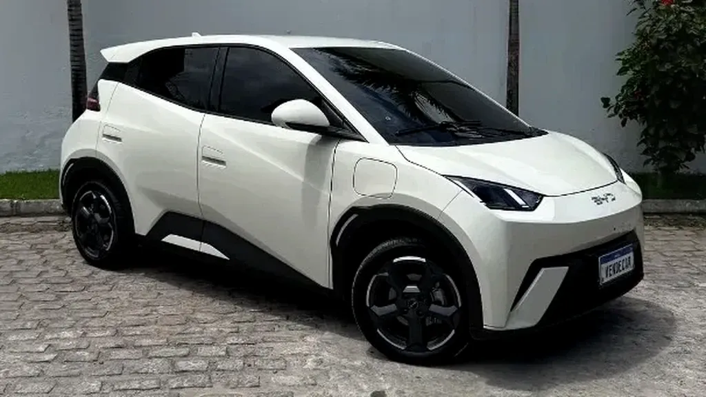 Foto de um byd dolphin mini