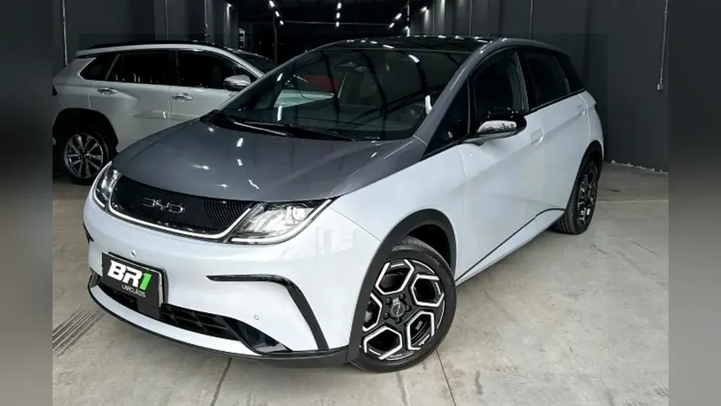 Foto de um byd dolphin plus