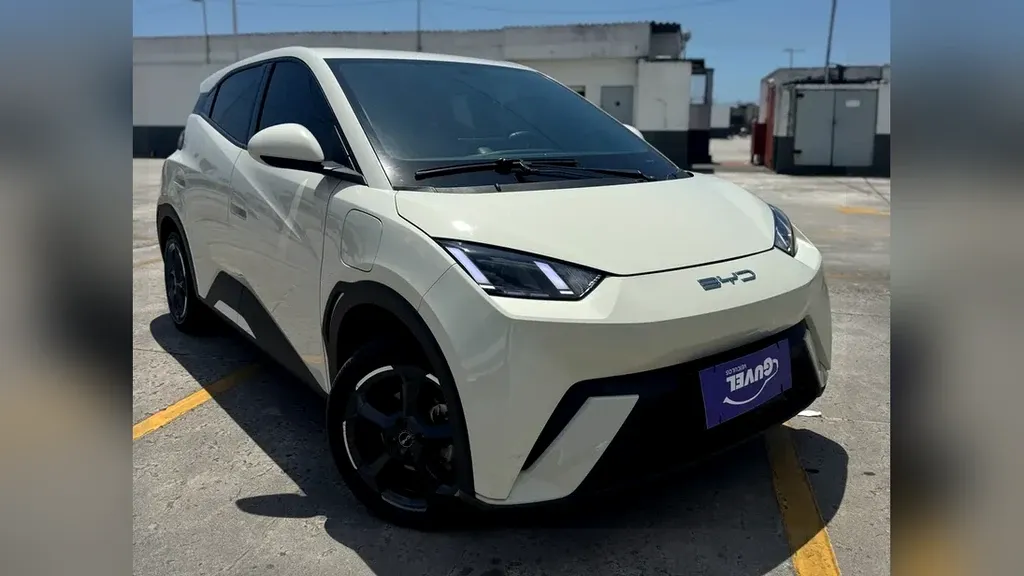 Foto de um byd dolphin mini