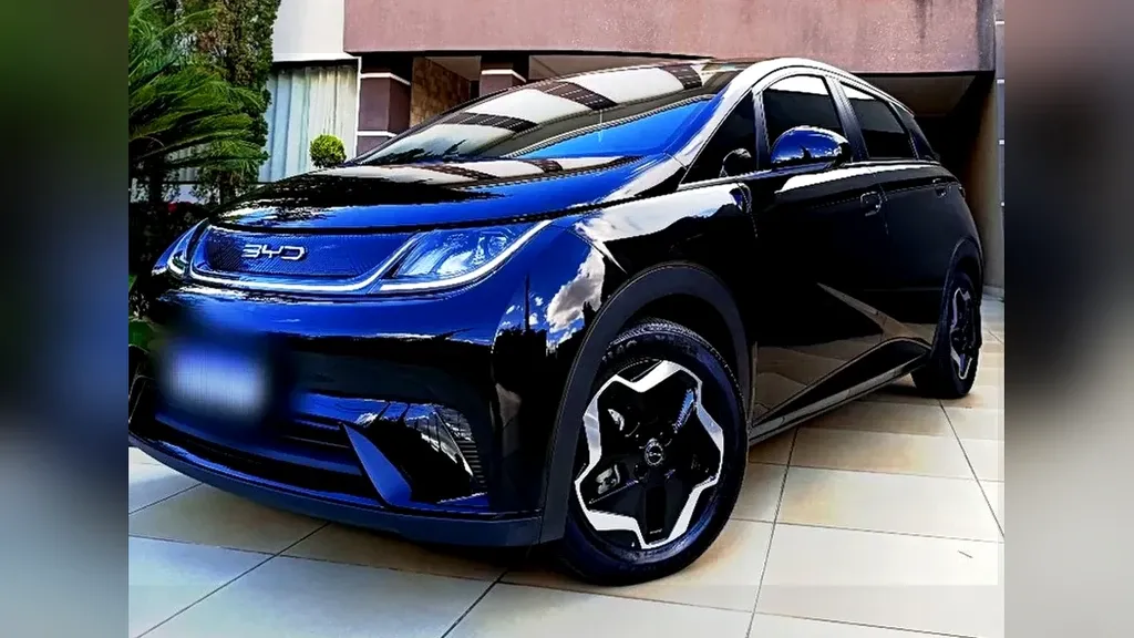 Foto de um byd dolphin