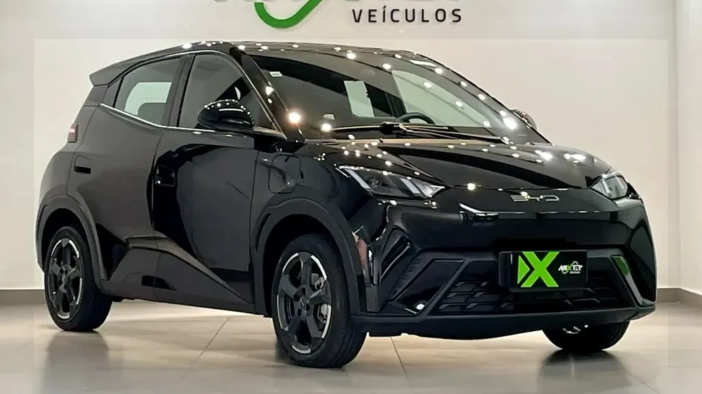 Foto de um byd dolphin mini